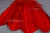 Декоративный Пучок из перьев, перо 23см/красный - купить в Омске. Цена: 11.16 руб.