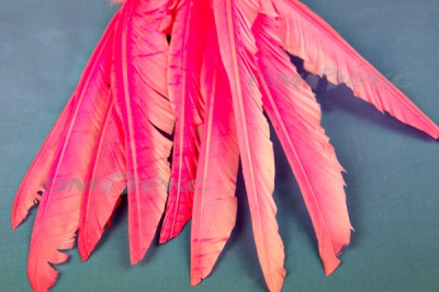 Декоративный Пучок из перьев, перо 25см/розовый - купить в Омске. Цена: 14.40 руб.