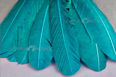 Декоративный Пучок из перьев, перо 24см/голубой - купить в Омске. Цена: 12.19 руб.