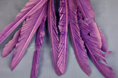 Декоративный Пучок из перьев, перо 25см/фиолетовый - купить в Омске. Цена: 12.19 руб.