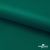 Ткань подкладочная Таффета, 19-5420, 53 г/м2, антистатик, шир. 150 см, вечнозеленый - купить в Омске. Цена 57.16 руб.