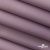Текстильный материал " Ditto", мембрана покрытие 5000/5000, 130 г/м2, цв.17-1605 розовый туман - купить в Омске. Цена 301.63 руб.