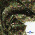Ткань костюмная «Микровельвет велюровый принт», 220 г/м2, 97% полиэстр, 3% спандекс, ш. 150См Цв  #9 - купить в Омске. Цена 439.76 руб.