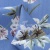 Плательная ткань "Фламенко" 12.1, 80 гр/м2, шир.150 см, принт растительный - купить в Омске. Цена 241.49 руб.