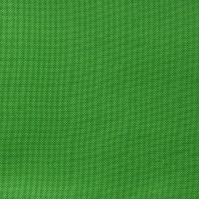 Ткань подкладочная Таффета 17-6153, 48 гр/м2, шир.150см, цвет трава - купить в Омске. Цена 54.64 руб.