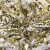 Трикотажное полотно, Сетка с пайетками, шир.130 см, #315, цв.-белый/золото - купить в Омске. Цена 693.39 руб.