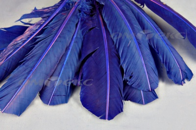 Декоративный Пучок из перьев, перо 23см/синий - купить в Омске. Цена: 12.34 руб.